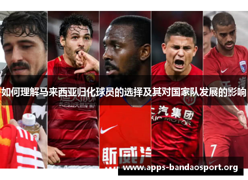 如何理解马来西亚归化球员的选择及其对国家队发展的影响