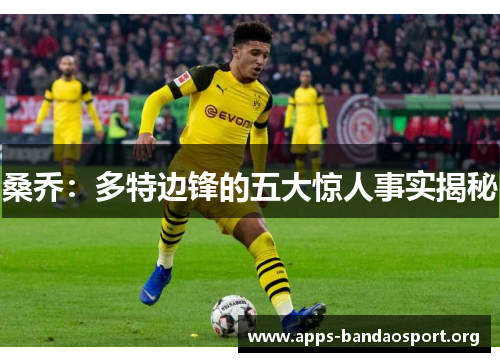 桑乔：多特边锋的五大惊人事实揭秘