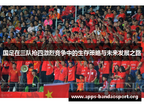 国足在三队抢四激烈竞争中的生存策略与未来发展之路